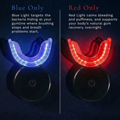 Daily Gumline Defense System